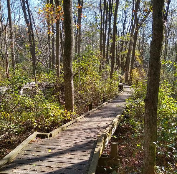 Southern Delaware Trail Mix 8 Awesome Trails To Explore Visit